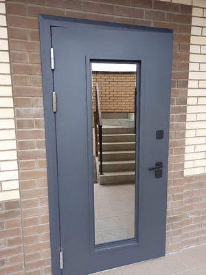 Металлическая дверь со стеклом